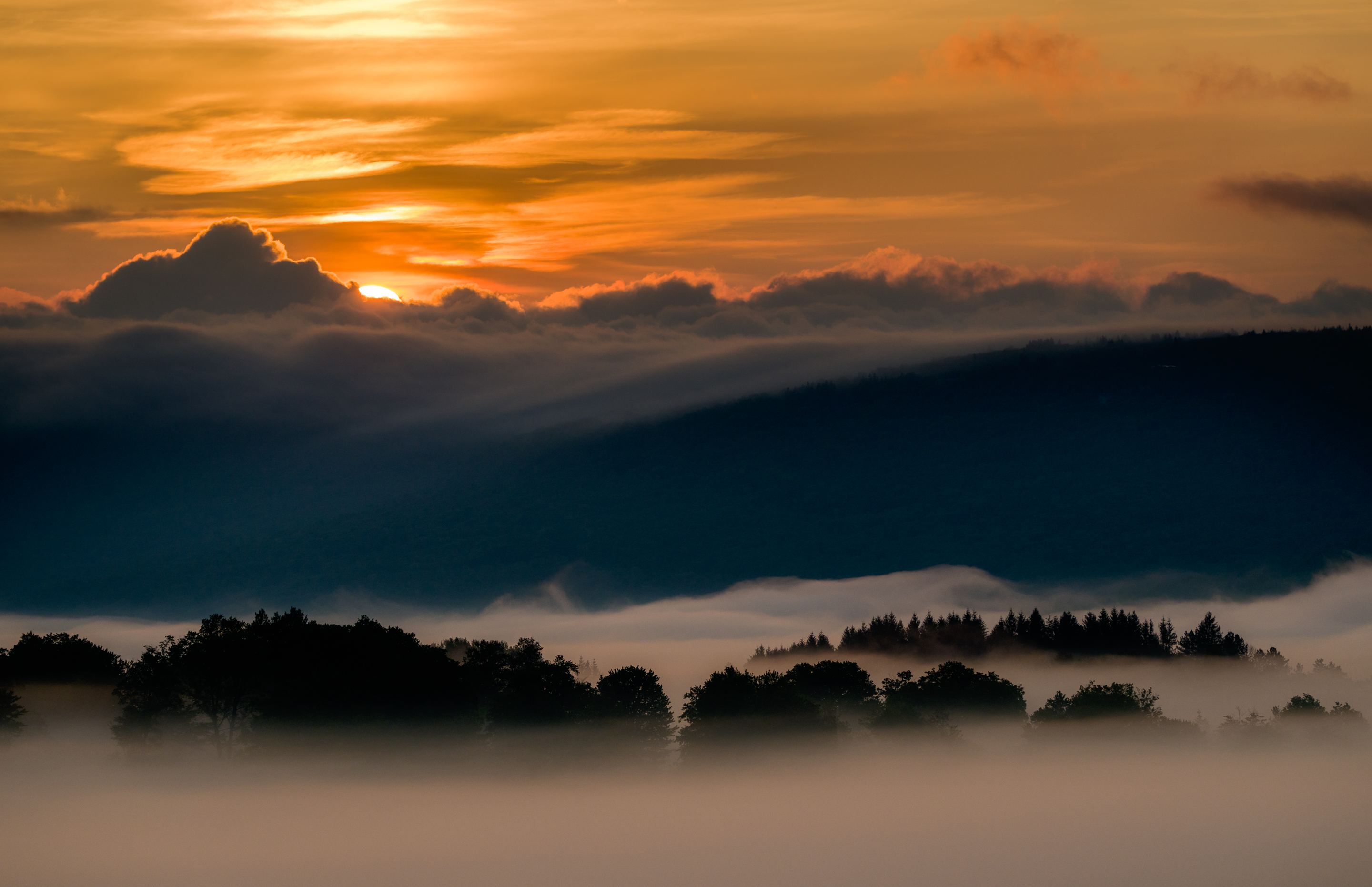 2nd PrizeMulti-Scape In Class 3 By John Hoyt For Foggy Sunrise OCT-2024.jpg